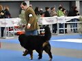 McCain Expo de Valladolid (28/02/2010) 17 meses