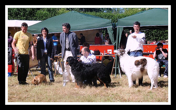 McCain  Best in Show Las Barzanas 2011