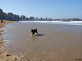 Gijon