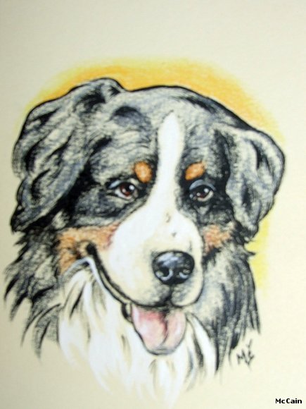 Pintura de Boyero de Berna . Australia(Ebay)