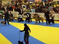 Expo de Oviedo Mc 6 meses