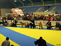 Expo de Oviedo Mc 6 meses