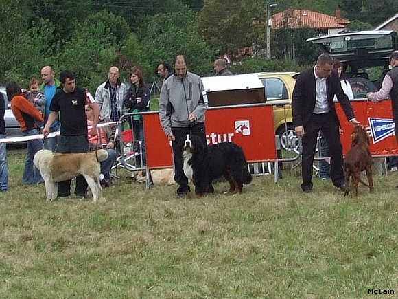 Concurso Canino Las Barzanas 2009