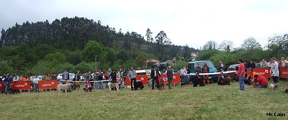 Concurso Canino Las Barzanas 2009