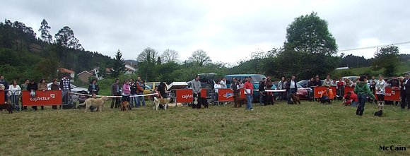 Concurso Canino Las Barzanas 2009