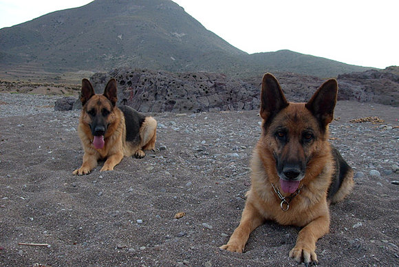 Yildúm y Kriss