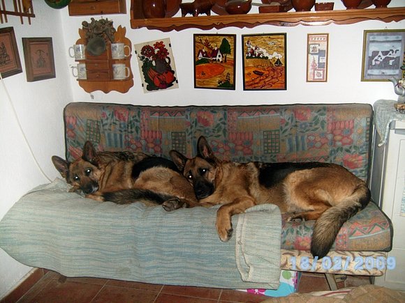 Yildún y kriss
