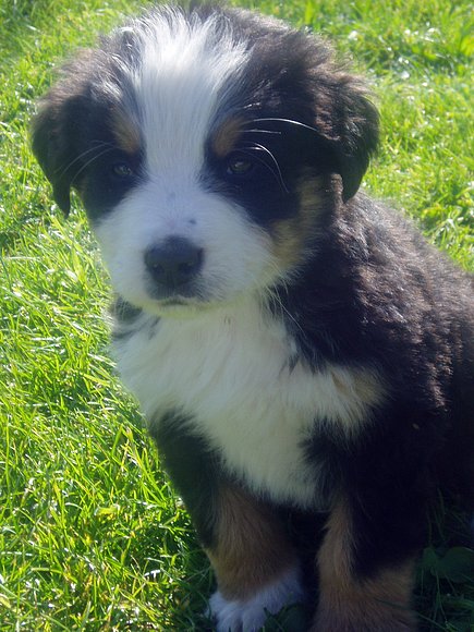 Neo con 2 meses