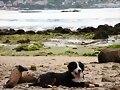 Descansando en la playa
