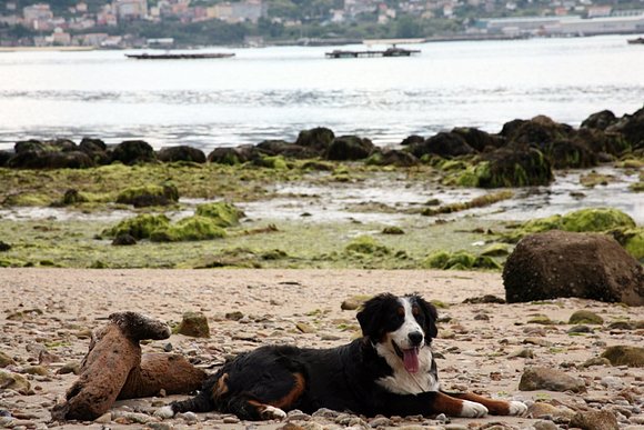 Descansando en la playa