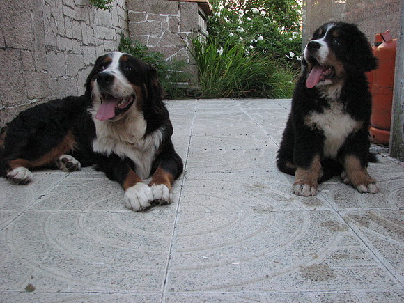 Neo y Asier