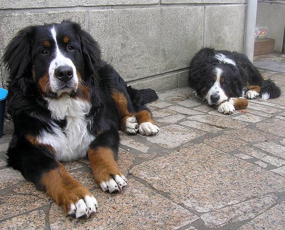 Asier y Neo