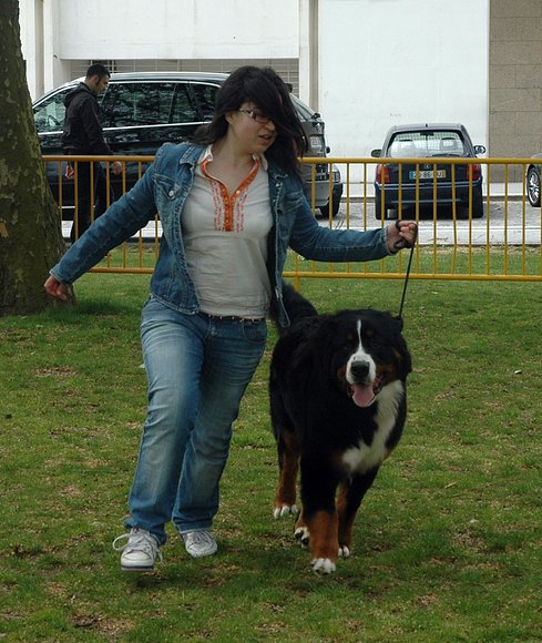 Hoy estreno Handler!