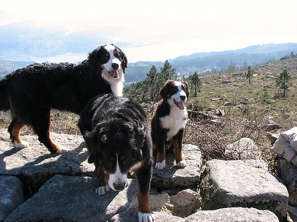 Morgan, Neo y Anouk escapándose