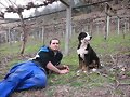 Mis dos chicos