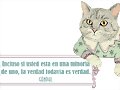 El gato de Gandhi