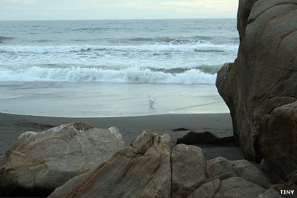 Playa Rocas de Santo Domingo - Chile