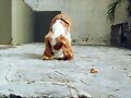 MI BELLA BLONDY DIOS TE BENDIGA