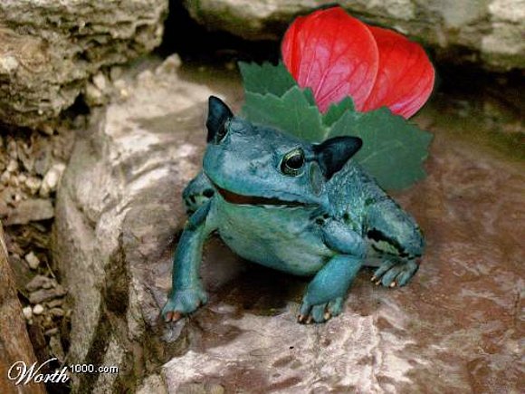 ivysaur