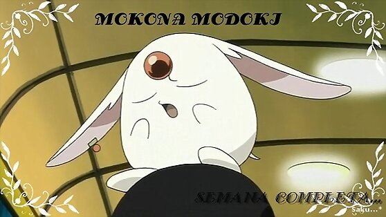 Empexando la Zemana :Mokona modoki!!!