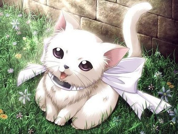 meow
