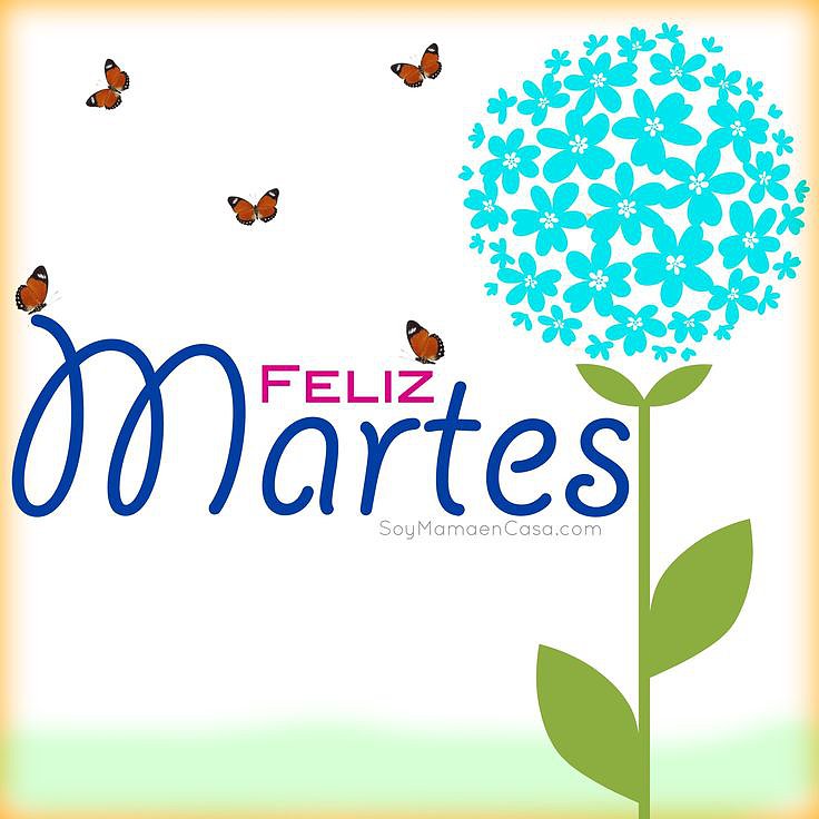 Bonito martes...