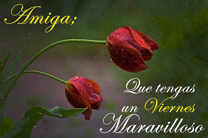Especialmente para ti...