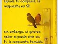Un mensaje muy sincero :)