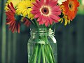Flores para ti...