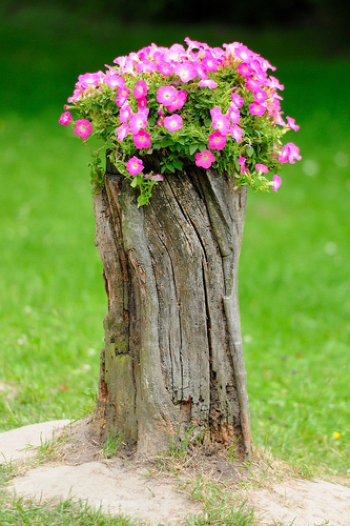 Novedoso ramo de flores  ;)