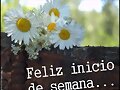 Buen lunes