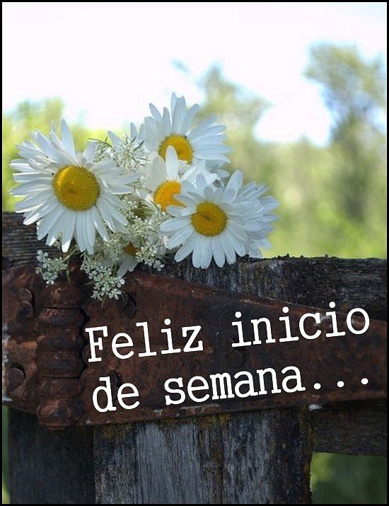 Buen lunes
