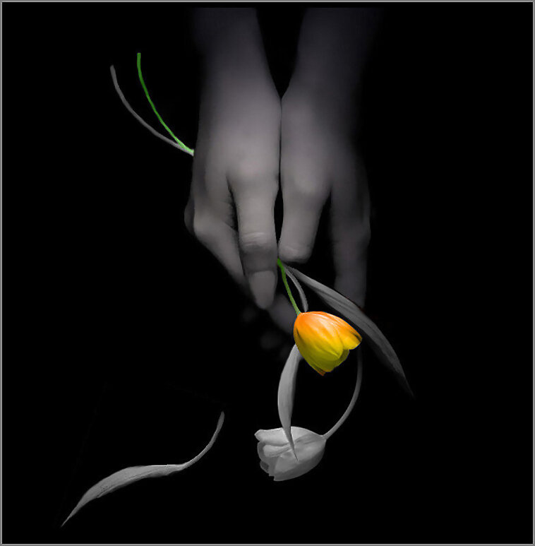 Flores para ti