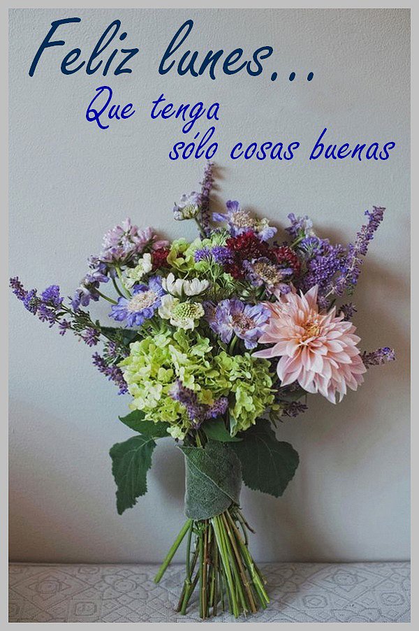 Feliz inicio de semana...