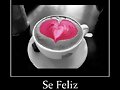 Bonito lunes....