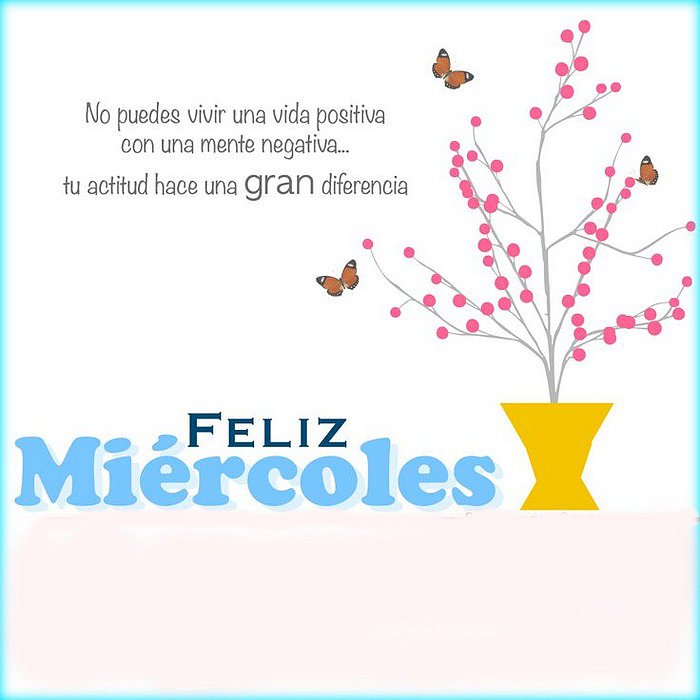 Buen día...