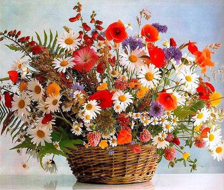 Flores para alegrar el día *-*