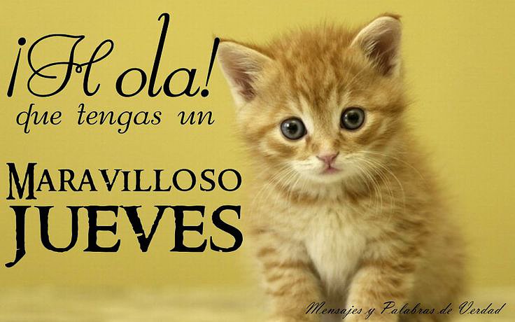 Hola...