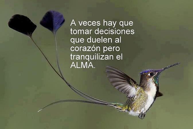 Frases...