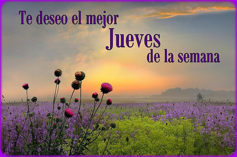 Buen día...
