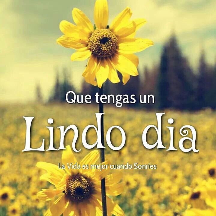 Feliz jueves...