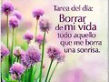 Feliz mi&eacute;rcoles...