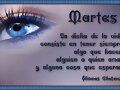 Feliz martes...