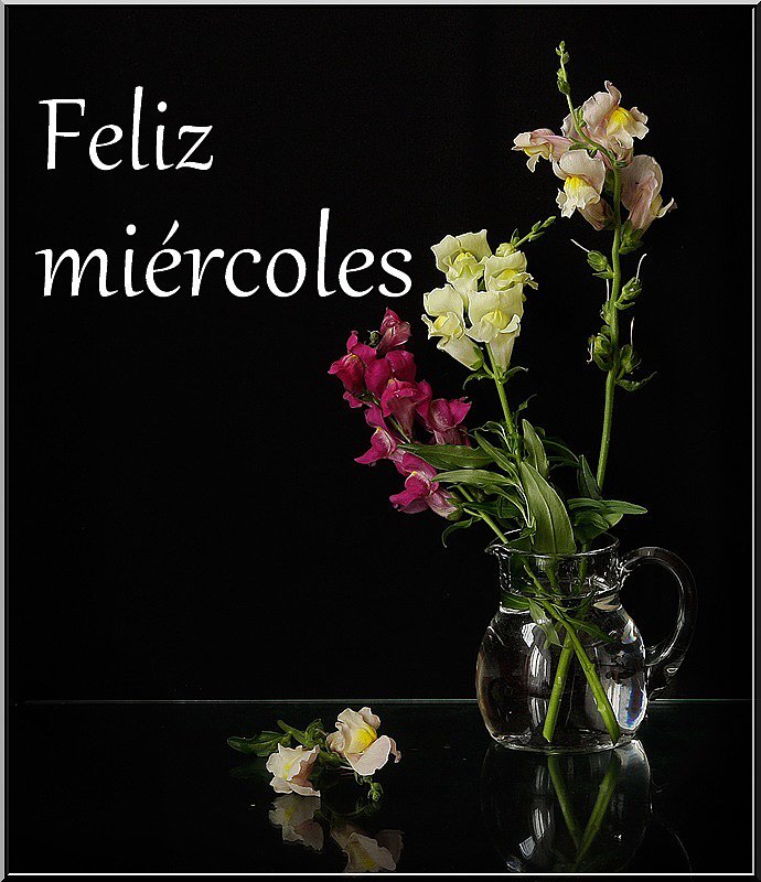 Que tengas un buen miércoles...