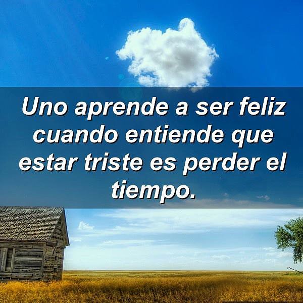Toda la razón