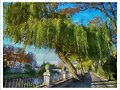 Paseo junto al Arlanz&oacute;n, Burgos