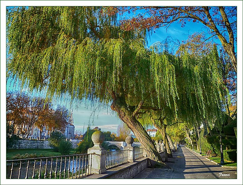 Paseo junto al Arlanzón, Burgos