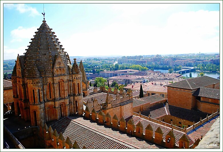 Salamanca, Catedral Vieja.
