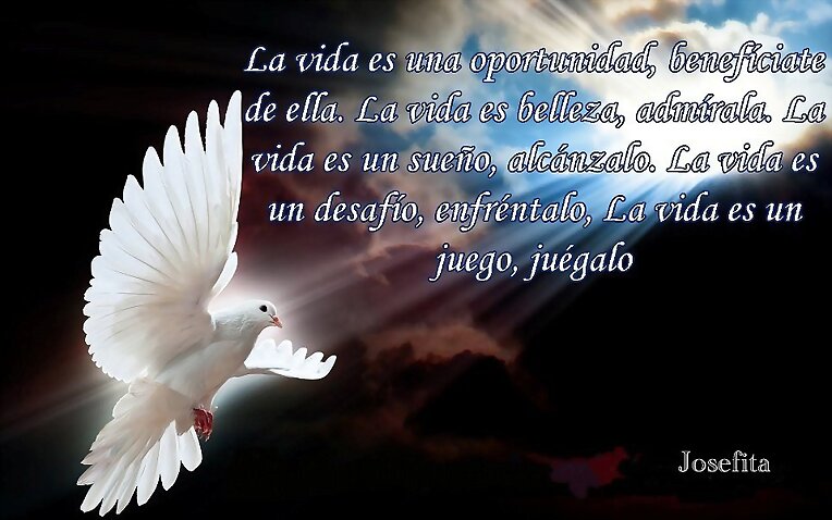 buen dia para todos