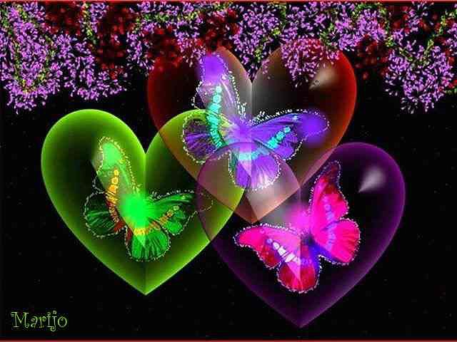 Hoy uno de febrero 2014 mariposas
